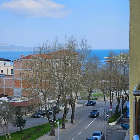 Julia Vigo Panorama