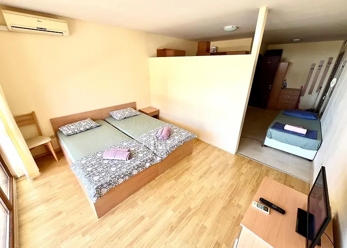 Julia Vigo Panorama *